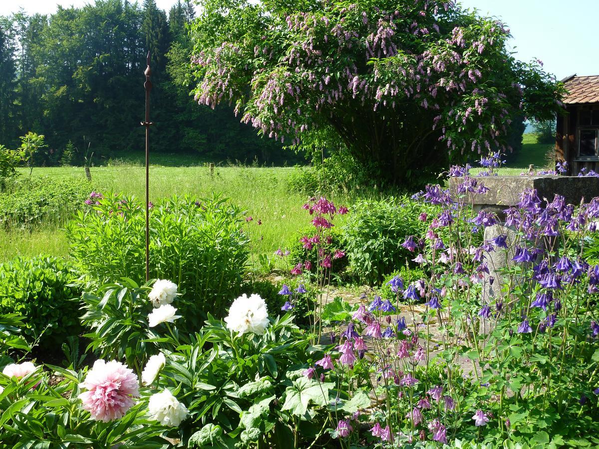 Traumgarten Allgaeu Rettenberg Εξωτερικό φωτογραφία